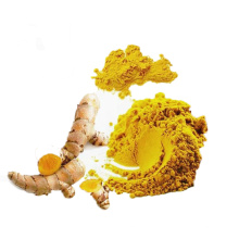 Hot Selling Herbal Extract Solvent Extraction Food Grade Turmeric Extract